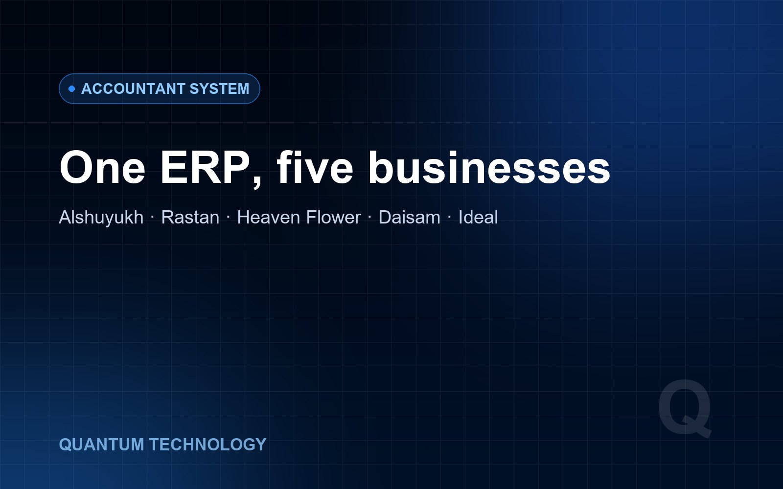 Accountant System: one ERP, five businesses